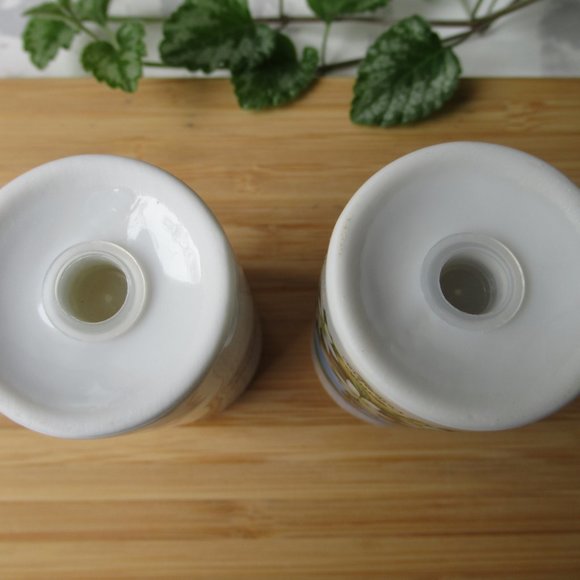 Salt & Pepper Shaker British Columbia Fairmont Hot Springs Canada Souvenir - Picture 7 of 8